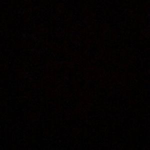 Meet your Posher, Lily